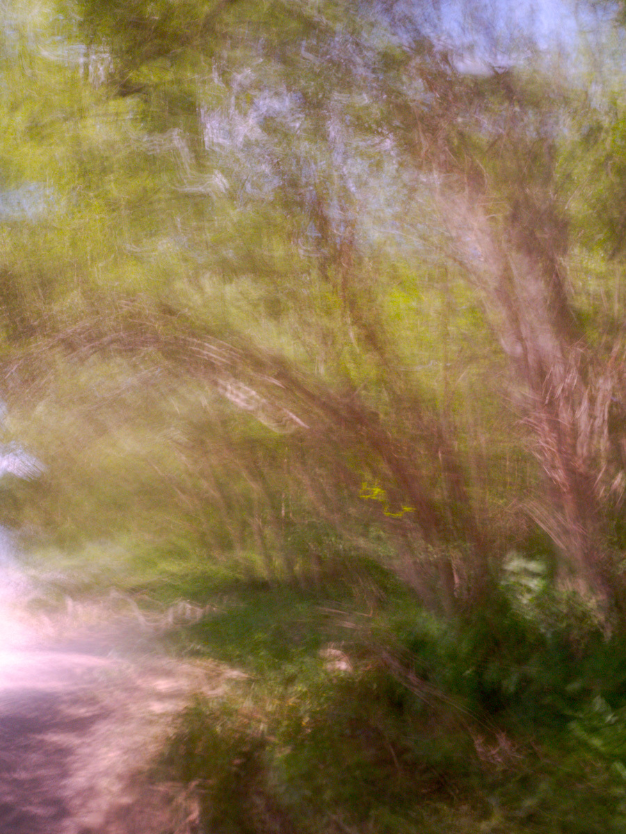 Paradise Island Beach | 2024