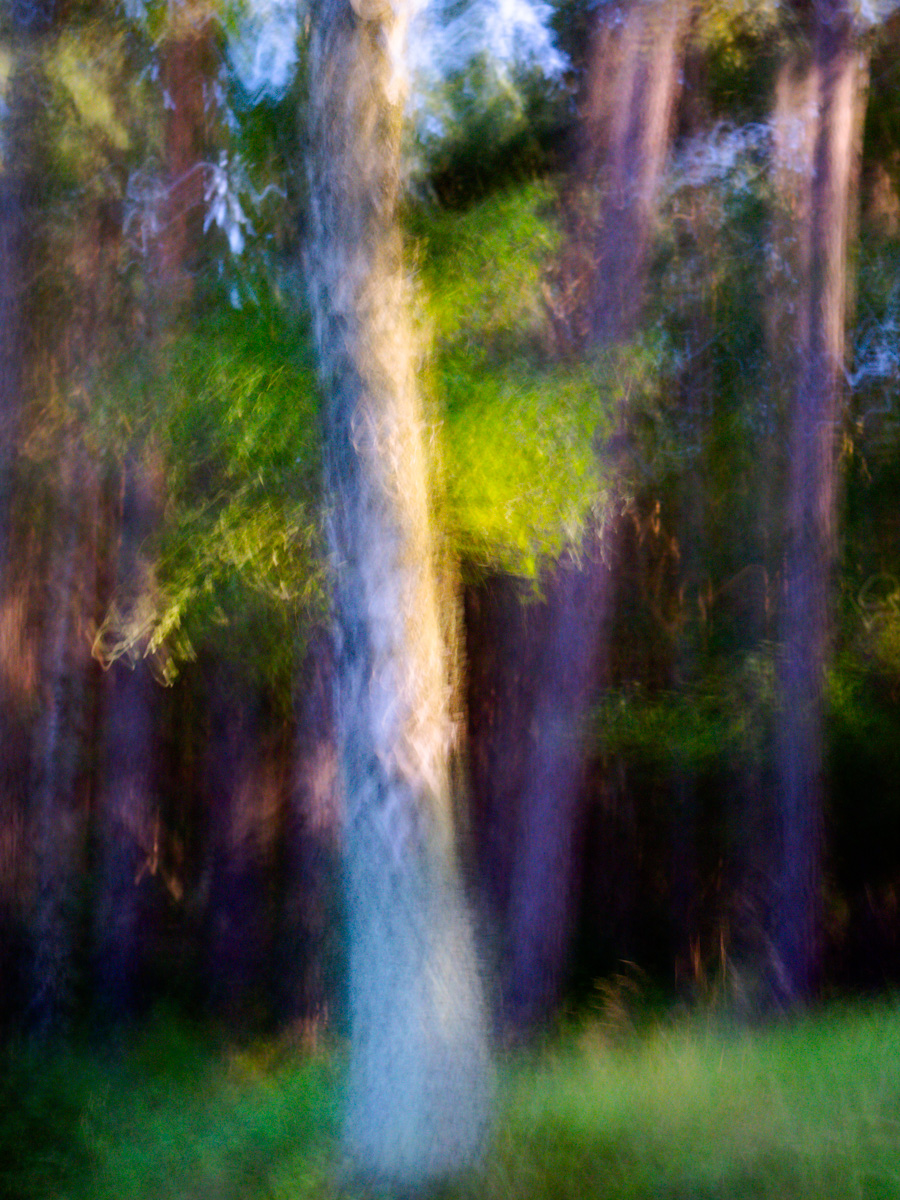 beg to differ | 2024